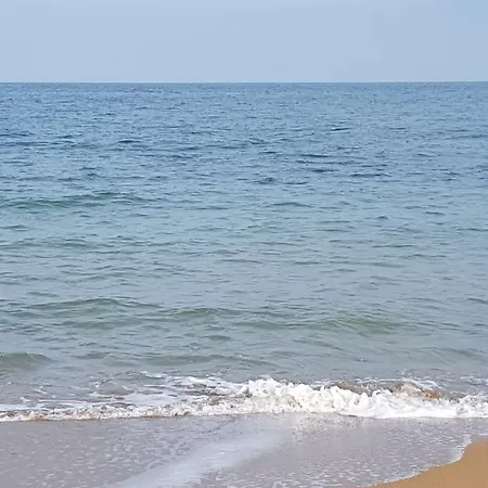 Alondras Playa Dénia